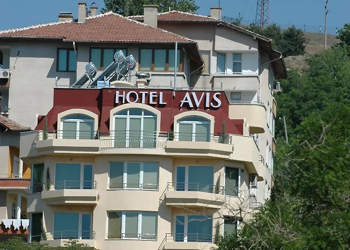 Hotel Avis
